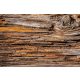 TREE BARK fotótapéta, poszter, vlies alapanyag, 375x250 cm