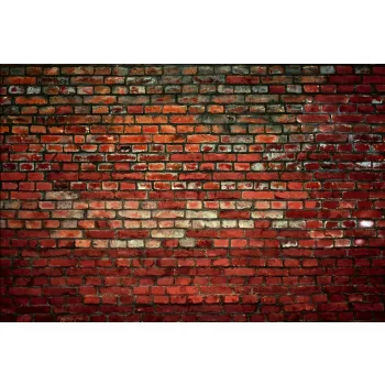   BRICK WALL fotótapéta, poszter, vlies alapanyag, 375x250 cm