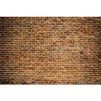 OLD BRICK fotótapéta, poszter, vlies alapanyag, 375x250 cm
