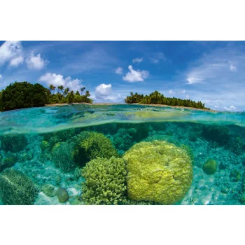   CORAL REEF fotótapéta, poszter, vlies alapanyag, 375x250 cm