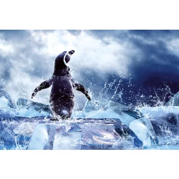 PENGUIN fotótapéta, poszter, vlies alapanyag, 375x250 cm