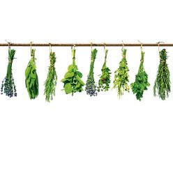 HERBS fotótapéta, poszter, vlies alapanyag, 375x250 cm