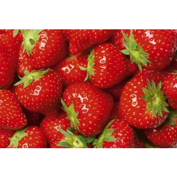   STRAWBERRY fotótapéta, poszter, vlies alapanyag, 375x250 cm
