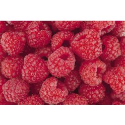 RASPBERRY fotótapéta, poszter, vlies alapanyag, 375x250 cm