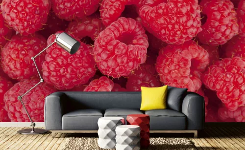 RASPBERRY fotótapéta, poszter, vlies alapanyag, 375x250 cm