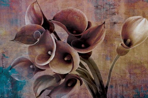 Virág fotótapéta, poszter, vlies alapanyag, 375x250 cm