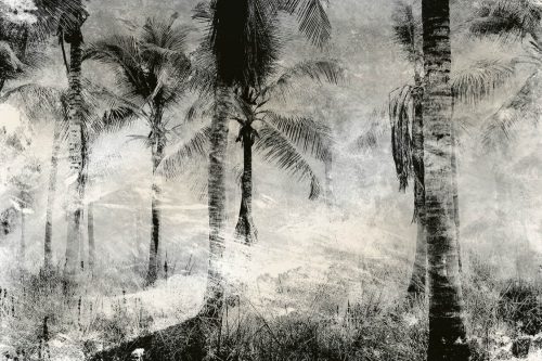 Pálmafák fotótapéta, poszter, vlies alapanyag, 375x250 cm