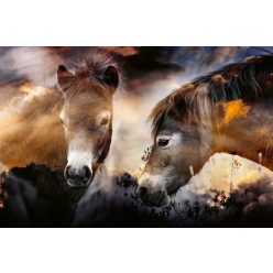 Vlies Fotótapéta - Wild horses - 375x250 cm