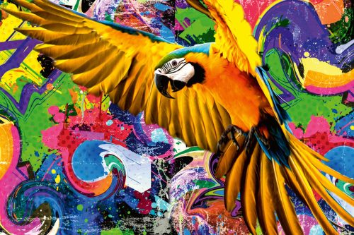 Vlies Fotótapéta - Colored parrot with colorful paint - 375x250 cm
