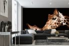 Vlies Fotótapéta - Two giraffes - 375x250 cm