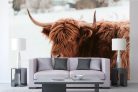 Vlies Fotótapéta - Highland cattle brown cow - 375x250 cm