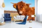 Vlies Fotótapéta - Highland cow with long hair - 375x250 cm