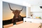 Vlies Fotótapéta - Scottish highlander cow - 375x250 cm