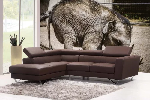 Vlies Fotótapéta - Baby elephant - 375x250 cm