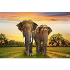 Vlies Fotótapéta - Elephants family on sunset - 375x250 cm