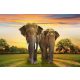 Vlies Fotótapéta - Elephants family on sunset - 375x250 cm