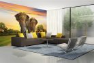 Vlies Fotótapéta - Elephants family on sunset - 375x250 cm