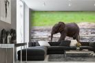 Vlies Fotótapéta - Baby forest elephant - 375x250 cm