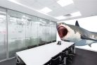 Vlies Fotótapéta - White shark - 375x250 cm