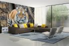 Vlies Fotótapéta - Siberian Tiger - 375x250 cm