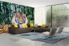 Vlies Fotótapéta - The Sumatran tiger - 375x250 cm