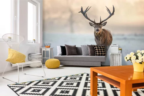 RED DEER STAG fotótapéta, poszter, vlies alapanyag, 375x250 cm