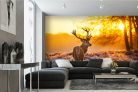 Vlies Fotótapéta - Red Deer in sunset - 375x250 cm