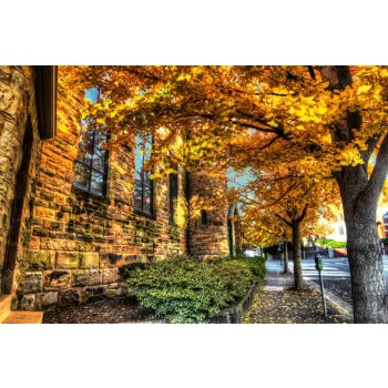 Vlies Fotótapéta - Fall city path - 375x250 cm