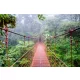 Vlies Fotótapéta - Bridge in rainforest - 375x250 cm