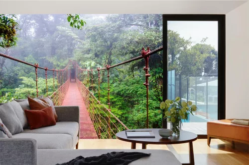 Vlies Fotótapéta - Bridge in rainforest - 375x250 cm
