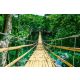 Vlies Fotótapéta - Bamboo hanging bridge - 375x250 cm