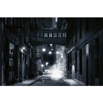 Vlies Fotótapéta - Monochrome view - 375x250 cm