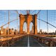 Vlies Fotótapéta - Brooklyn bridge panorama - 375x250 cm