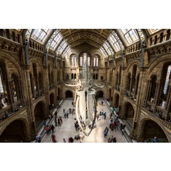 Vlies Fotótapéta - New Hintze hall  - 375x250 cm