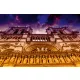 Vlies Fotótapéta - Notre Dame - 375x250 cm
