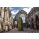 Vlies Fotótapéta - Holyrood Abbey - 375x250 cm