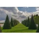 Vlies Fotótapéta - Versailles Chateau - 375x250 cm