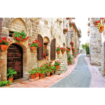 Vlies Fotótapéta - Lane with Flowers - 375x250 cm