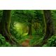 Vlies Fotótapéta - Deep tropical jungle - 375x250 cm