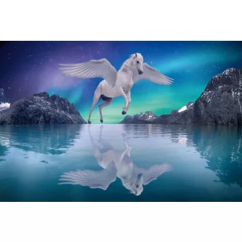 Vlies Fotótapéta - Pegasus and lake - 375x250 cm