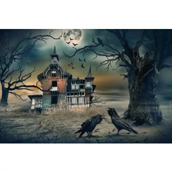 Vlies Fotótapéta - Scary house - 375x250 cm