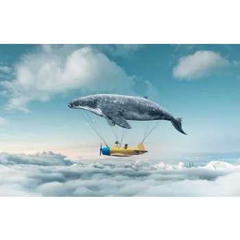   TAKE ME TO THE DREAM fotótapéta, poszter, vlies alapanyag, 375x250 cm