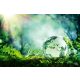 Vlies Fotótapéta - Globe on moss in a forest - 375x250 cm