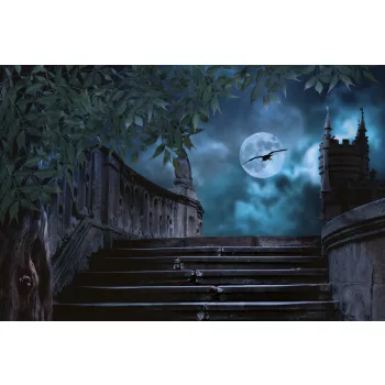 Vlies Fotótapéta - Stone staircase night - 375x250 cm