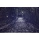 Vlies Fotótapéta - Mysterious alley - 375x250 cm