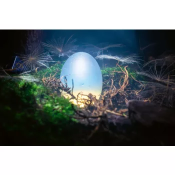 Vlies Fotótapéta - White opaque egg - 375x250 cm