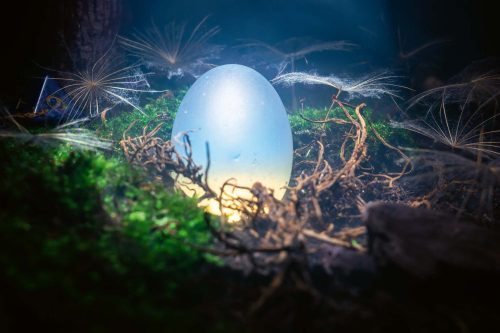 Vlies Fotótapéta - White opaque egg - 375x250 cm