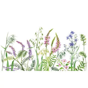  WILD FLOWERS fotótapéta, poszter, vlies alapanyag, 375x250 cm