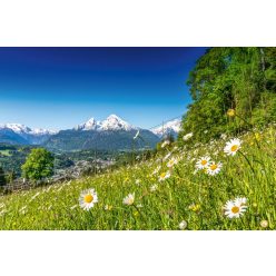   ALPINE LANDSCAPE fotótapéta, poszter, vlies alapanyag, 375x250 cm