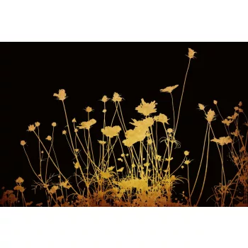Vlies Fotótapéta - Gold flowers - 375x250 cm